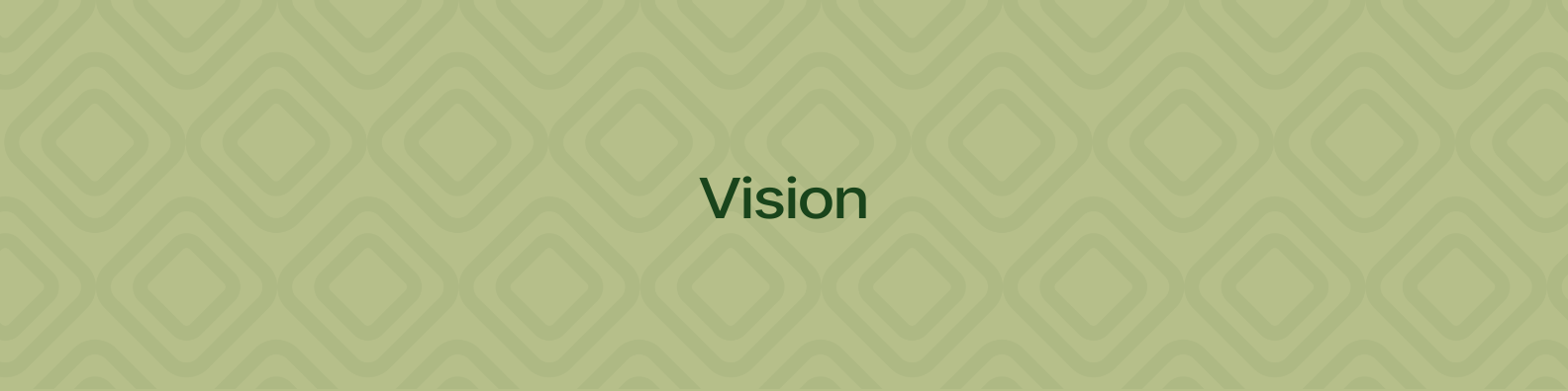 CustomQuo Vision